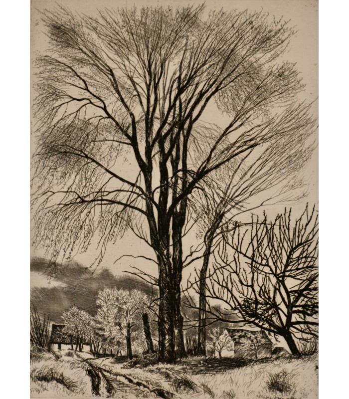 JACQUEMIN André "Arbre dans un paysage" - Gravure originale signée.