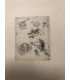 ROPS Félicien - "Etudes de têtes" -  Rare Planche d'essai - gravure originale au  vernis mou