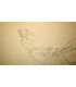 NAUDIN Bernard "Esquisse pour un ballet" - Dessin original signé.