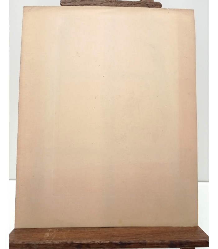 WILLETTE Adolphe Léon "Le Tondeur de Chiens" - Rare Lithographie originale - Tirage avant édition définitive