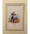 Garde impériale Voltigeur  "1854" -  Costume militaire - Gravure originale