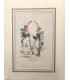 Infanterie de Ligne 1808" Grenadier Voltigeur - Costumes militaires - Gravure originale