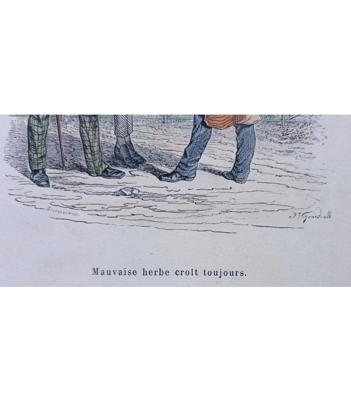 GRANVILLE Jean-Jacques - "Mauvaise herbe croit toujours" - Gravure originale (1870)