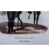 Garde impériale - Chasseurs à cheval- Costume militaire - Gravure originale
