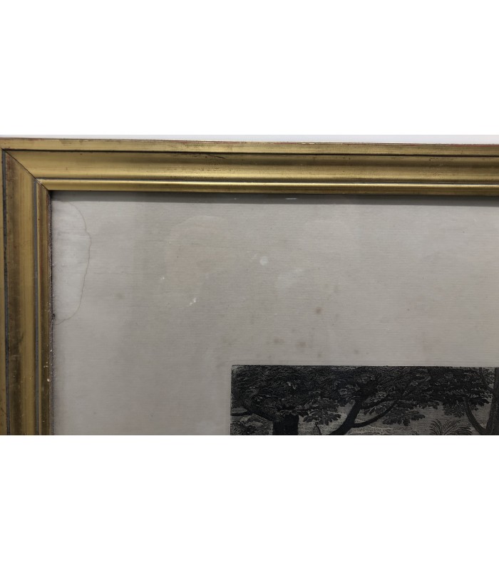 Bataille de Porus - " La Vraie Valeur est Toujours Invincible" - gravure originale