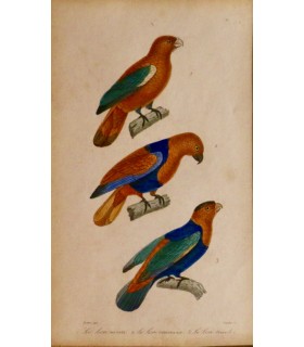 TRAVIES Edouard - PRÊTRE Jean-Gabriel  "Oiseaux" - 2 gravures originales rehaussées.
