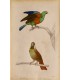 TRAVIES Edouard - PRÊTRE Jean-Gabriel  "Oiseaux" - 2 gravures originales rehaussées.