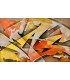 MadC "Seventeen Twenty-Four" - Acrylique et bombe aérosol signée.
